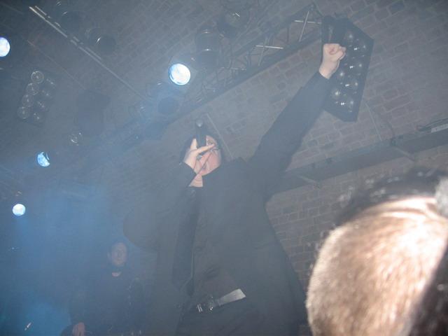 Lame Immotrelle vom 20.02.2008-026.jpg